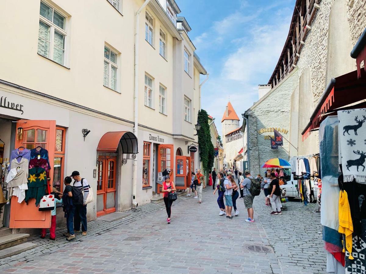 Tallinn City Apartments 4 Bedroom With Sauna And 2 Bathroom Buitenkant foto